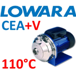 Lowara CEA+V - Pompa centrifuga monogirante AISI304 con elastomeri FPM - CEA70/3+V - 0,37kW 0,5Hp 3x230/400V 50Hz