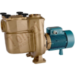 Pompa per acqua salata con filtro Calpeda BNMPM 32/12SE Bronzo di circolazione per piscina Monofase 2 Hp 15m3/h